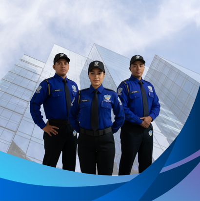 Consultoría en Seguridad Privada Consultoría en Seguridad Privada